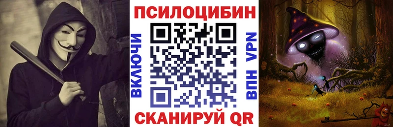купить закладку  Демидов  Галлюциногенные грибы Psilocybine cubensis 